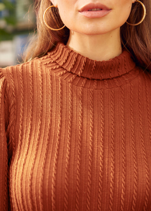 Retro Rendezvous Balloon Sleeve Turtleneck