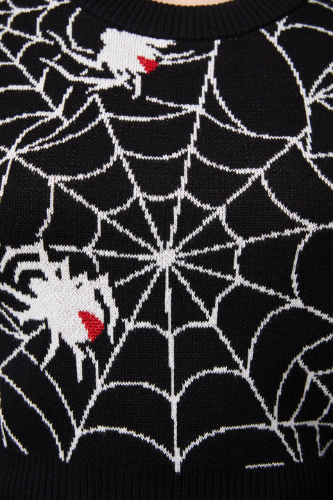 Arachnid Knit Cropped Sweater